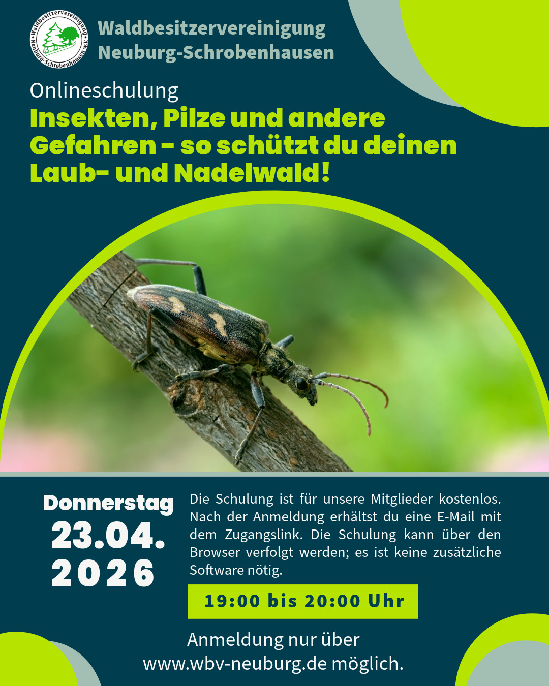 OnlineSchulung RoteicheLarche