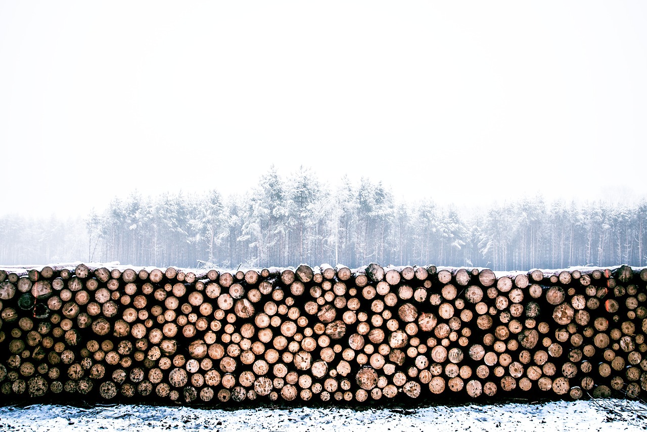 Anträge zur Waldbewirtschaftung und Holznutzung abgelehnt