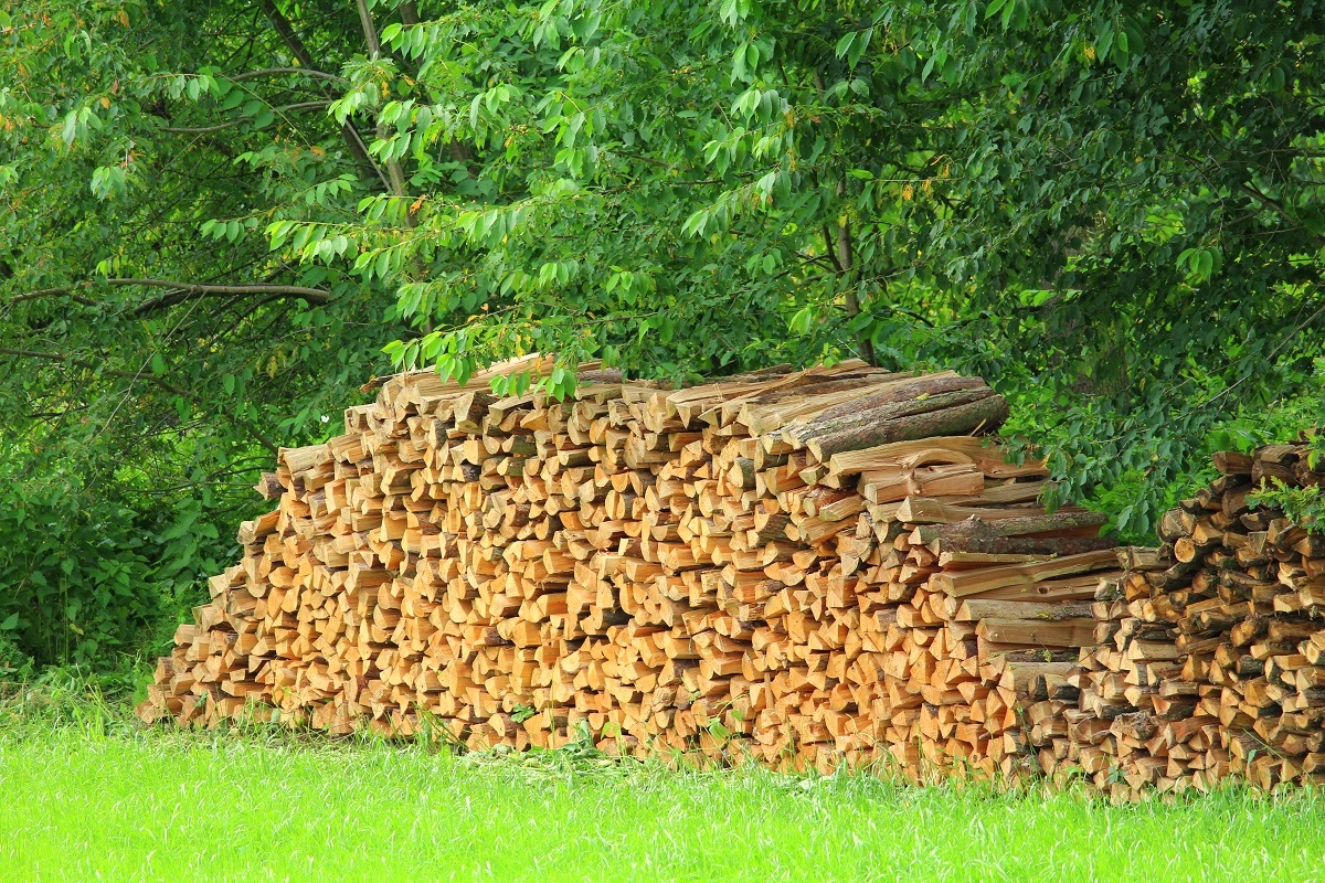 Brennholz 1200px