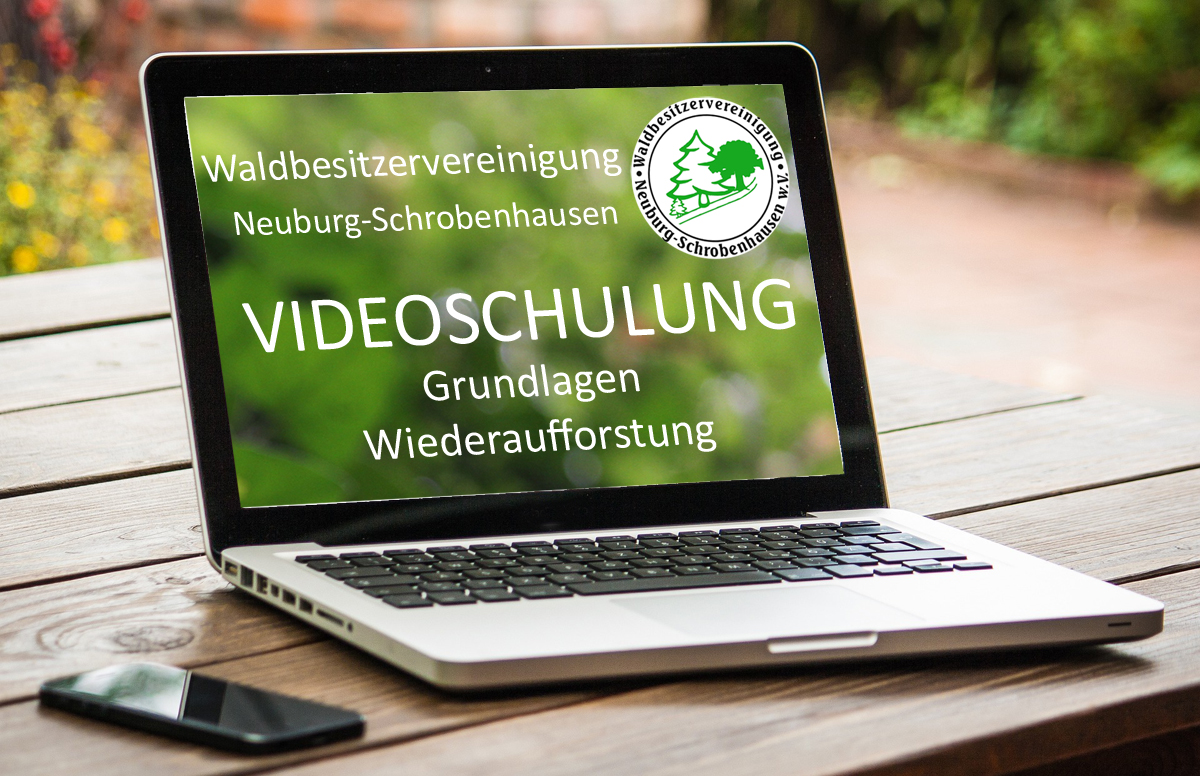 Banner Webinar Wiederaufforstung