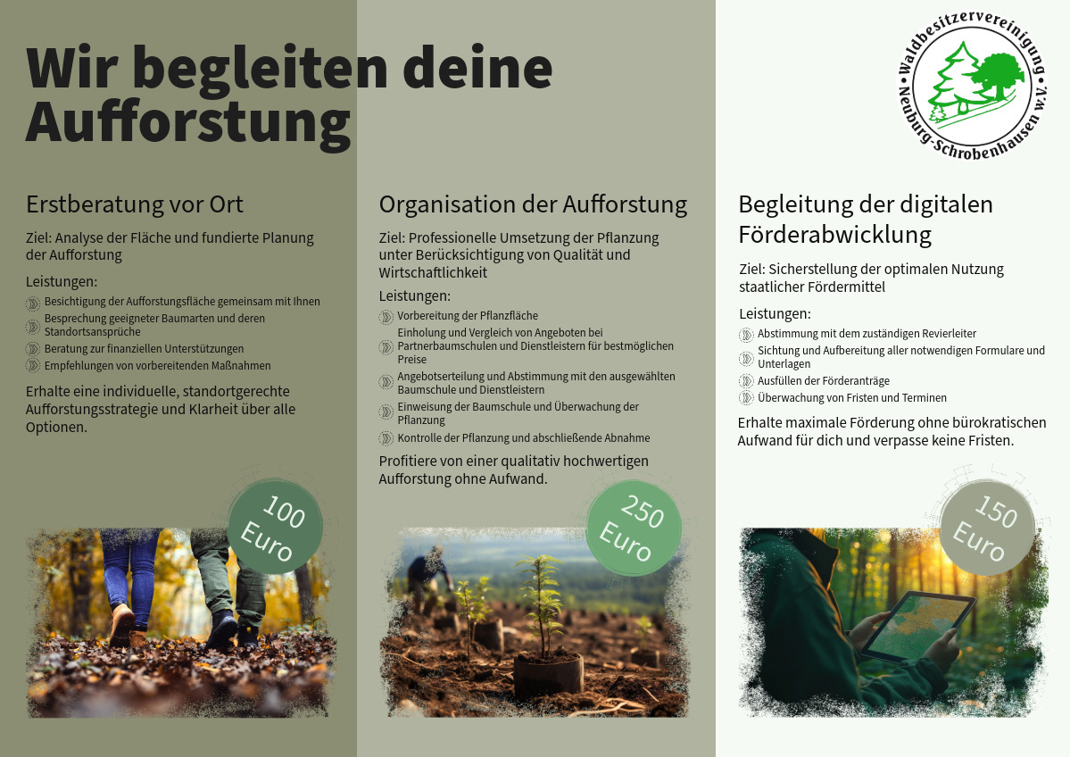 Aufforstung Angebot