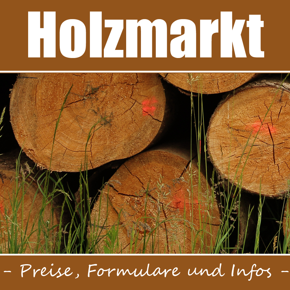 Banner Holzmarkt Modul