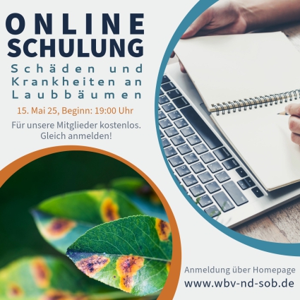 Online Schulung Borkenkäfer