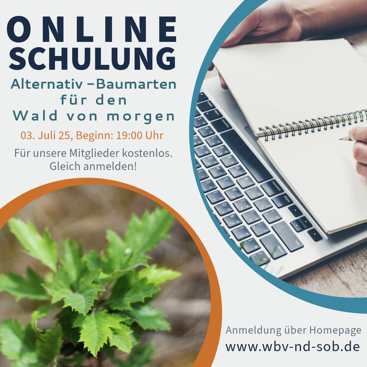 OnlineSchulung Krankheiten Laub