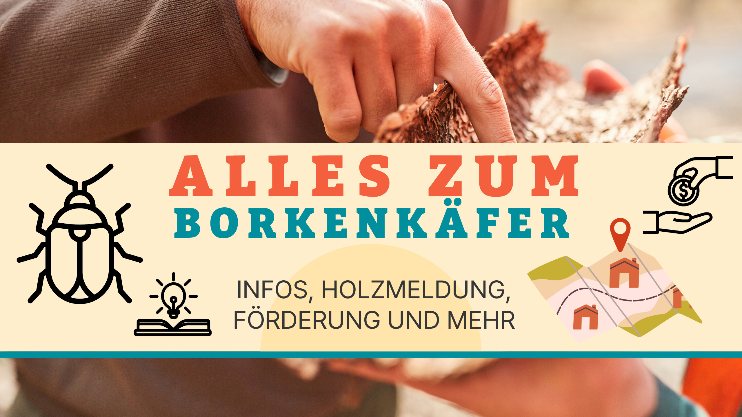 BannerKaefer